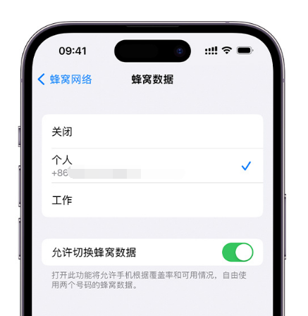 宋洛乡苹果维修服务分享如何在iPhone上使用双卡 