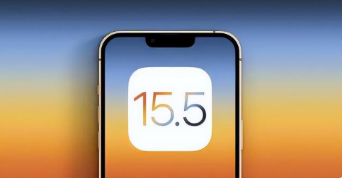 宋洛乡苹果手机维修分享iOS15.5 RC版升级建议 